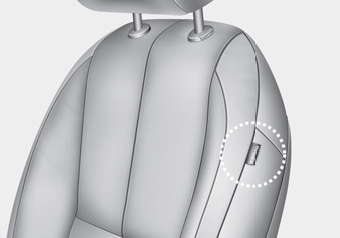 Kia Carnival: Side air bag Kia Carnival: Side air bag.